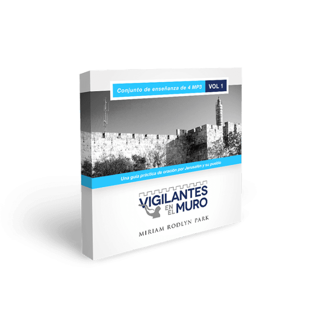 Vigilantes en el Muro Vol. 1 Digital