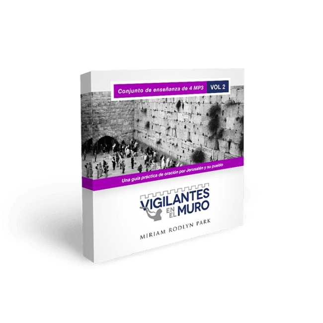 Vigilantes en el Muro Vol. 2 Digital