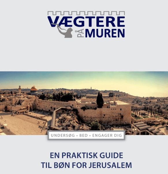 Danish Watchmen on the Wall Manual (Digital)